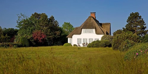 Thatched roof house
