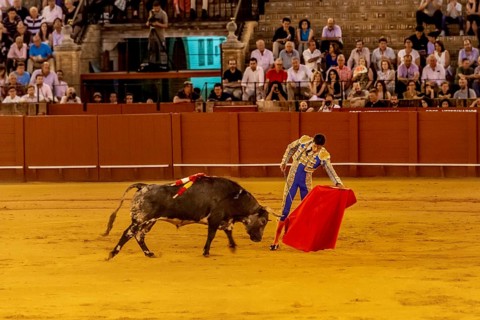Matador with muleta and espada with running bull