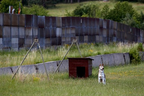 Dog run on the former German-German border