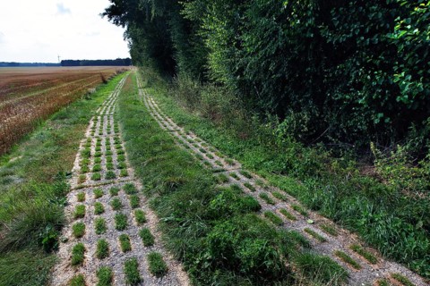 Column path