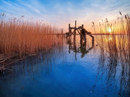 Old jetty in the reeds on the Peene River at sunset