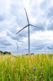 Wind turbines in Westerholz