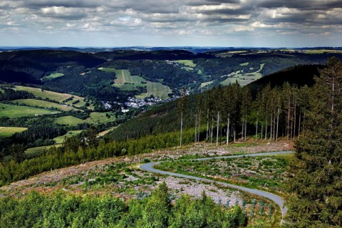 Hiking trail on the Ratzenberg to the Thueringer Warte in the Bavarian-Thuringian border area