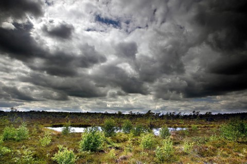 Moor Eye