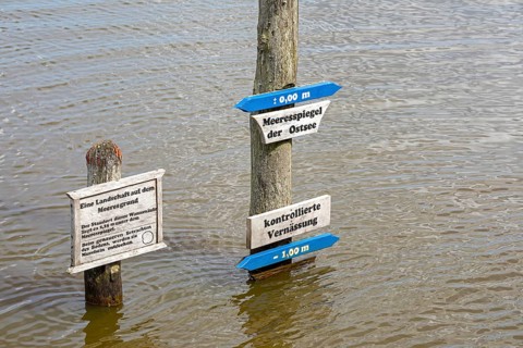 Water level indicator