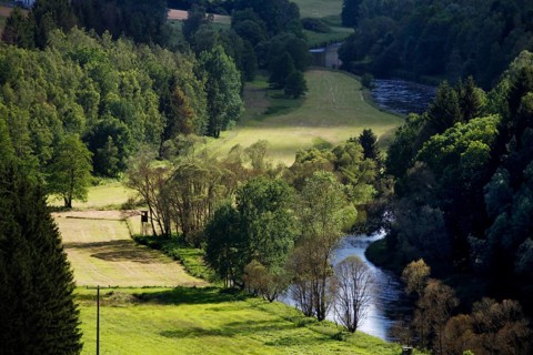 Saale valley