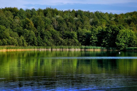 Natural landscape at the Schaalsee