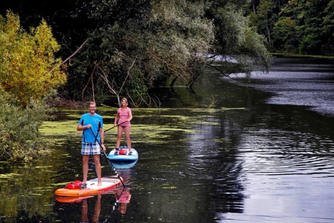 Stand-Up Paddler on the Wakenitz