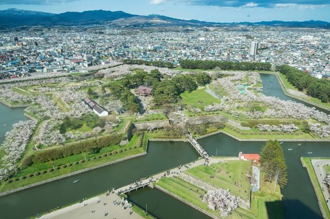 Star shaped Fort Goryokaku in the cherry blossom