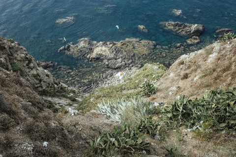 Coastal section
