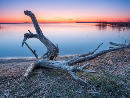 Bathing place with driftwood at the Peenestrom at sunset