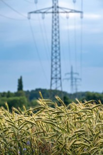 Wind turbines and power pylons at the Rundlingsdorf Gistenbeck