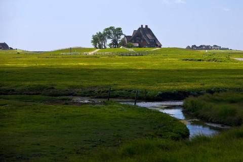 The Kirchwarft with marshland and drainage ditches