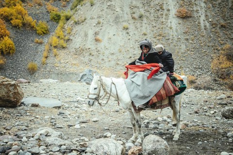 A boy with his little brother on a white horse