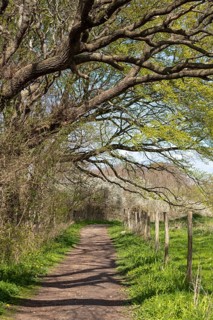 Hiking trail