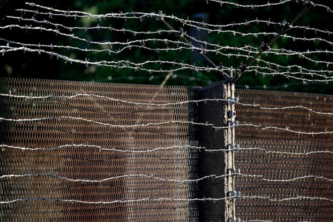Border fence