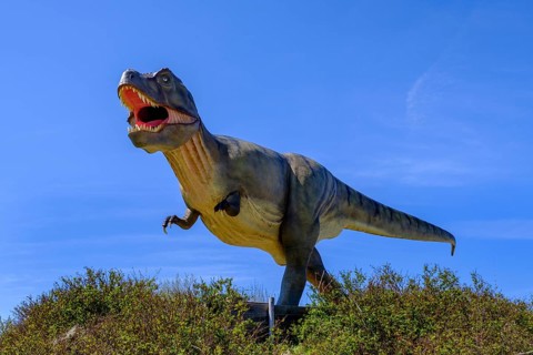 Tyrannosaurus rex