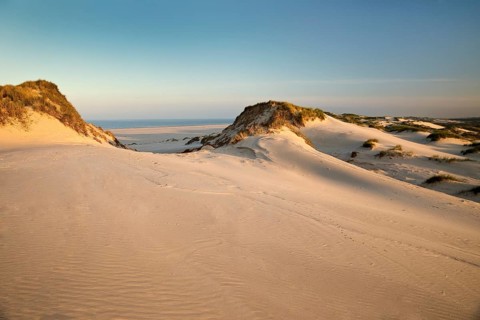 Dunes in the evening light with view of the Kniepsand and the sea