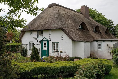Thatched roof house
