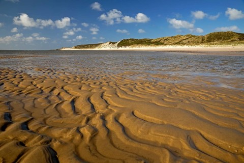 Spit with ripple pattern in yellow sand and dunes at low tide