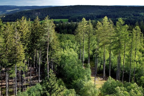 View from Thueringer Warte into the Bavarian-Thuringian border area of the former zonal border