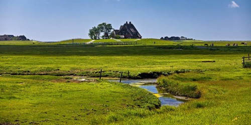The Kirchwarft with marshland and drainage ditches
