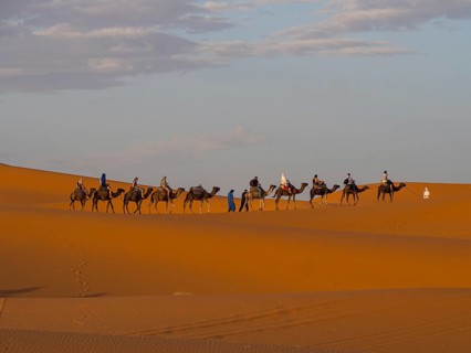 Tourists ride on Dromedary (Camelus dromedarius)