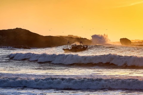 Fishing boat with seagulls in the surf