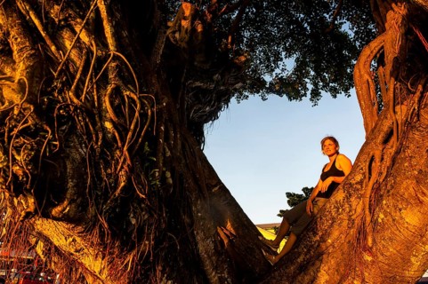 Girl standing in a giant old tree at sunset in downtown Apia