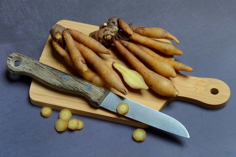 Fingerroot and knife on cutting board