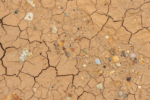 Cracks in the clay soil and coloured rhyolite rock