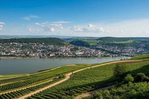 View over the Rhine from the Niederwalddenkmal monument