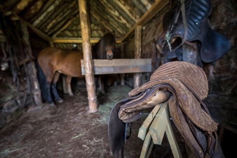 Saddles