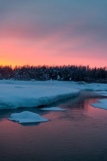 Morning dawn on the Oymyakon River