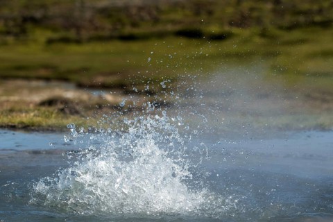 Spouting water