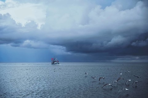Thunderstorm Storm