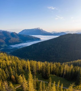Morning atmosphere in the foothills of the Alps