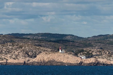 Coastal landscape