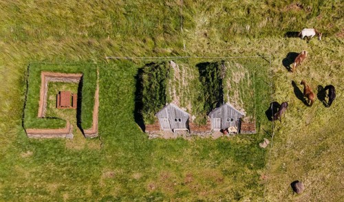 Icelandic horses grazing around horse stable and tool shed in original peat construction