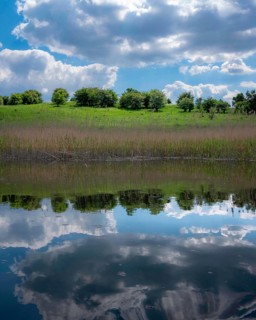 The bank of the Brda river near the village of Sapolno. Kashubia