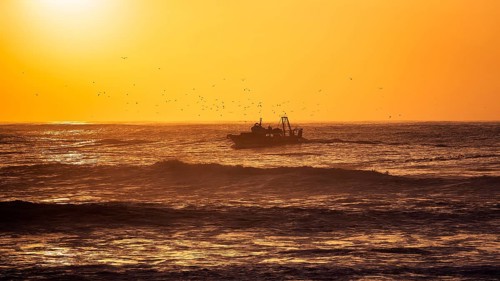 Fishing boat with seagulls in the surf
