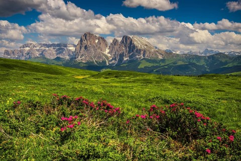 View of the peaks of the Langkofel (left) and the Plattkofel (right)