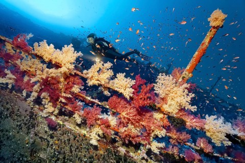 Diver with lamp looking at the railing of the shipwreck of the Aida