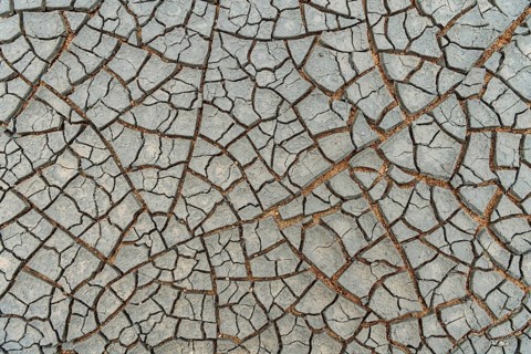 Cracks in the clay soil form mosaic-like structure