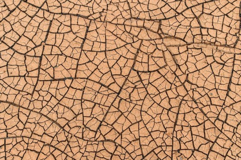 Cracks in the clay soil form mosaic-like structure