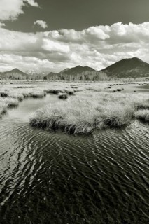 Water surface rippled by wind on pond in moor landscape
