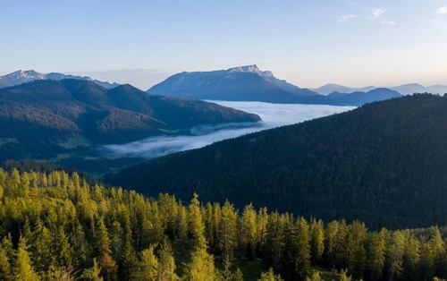 Morning atmosphere in the foothills of the Alps