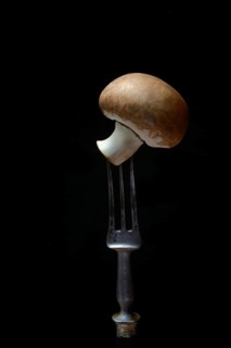 Brown cultivated mushroom on fork