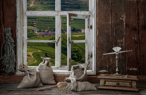View from the farmer's kitchen with rye grains and scales into the landscape