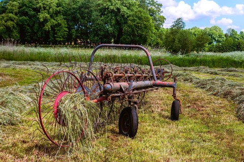 An old hay tedder